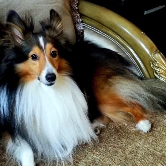 I finally said YES! Never too old to start new 🤗 xoxo - Picture 10 of 10